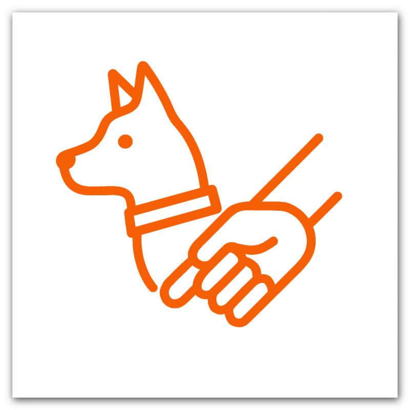 Hundehalter und Leinenpflicht: Verantwortung, Rücksicht und Gesetz